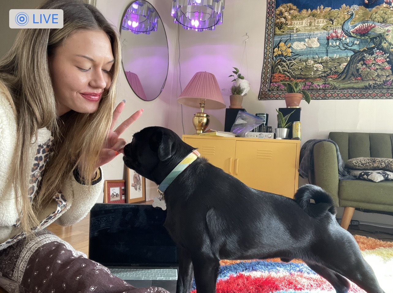 Hanna playing peace-sign with a black pug in a sunlit living room
